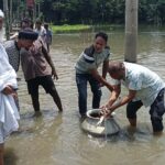 দশমিনায় বিএনপির অস্থায়ী কার্যালয়ে তালা ভেঙে মালামাল চুরি