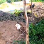 শাহরাস্তির খিলা বাজারে তুচ্ছ ঘটনাকে কেন্দ্র করে দফায় দফায় সংঘর্ষ, ১০ ব্যবসা প্রতিষ্ঠান ভাঙচুর; আহত ৮