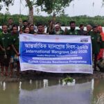 শাহরাস্তিতে ৩৫ পিস ইয়াবাসহ দুই মাদক কারবারি গ্রেপ্তার