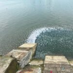 জুলাই অভ্যুত্থানের দ্বিতীয় প্রতিষ্ঠাবার্ষিকী উপলক্ষে শাহরাস্তিতে জামায়াতের গণমিছিল