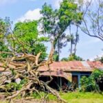 শ্যামনগর থানার ওসি সাফিউল ইসলাম সাতক্ষীরার শ্রেষ্ঠ ওসি নির্বাচিত