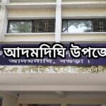 সিরাজগঞ্জে অজ্ঞাত বাসের চাপায় পথচারী নিহত