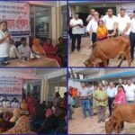 শার্শার রুদ্রপুর সীমান্ত থেকে ৩১০ কেজি কারেন্ট জাল ও নছিমন জব্দ