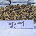 ভারতীয় কাঁচামরিচ আমদানি,সাতক্ষীরার বাজারে কেজিতে দাম কমল ১৩০