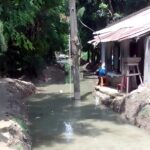 কালাইয়ে ১২ ফুট উচ্চতার গাঁজা গাছসহ আটক ১