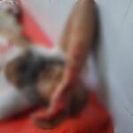 বড় সাজ্জাদের ফুফাতো ভাই ও সহযোগী সন্ত্রাসী গোলাম সারোয়ার খানকে ঢাকার ডিবি পুলিশ কর্তৃক গ্রেপ্তার