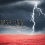 চিলমারীতে “প্রতিবন্ধী ব্যক্তিদের অধিকার ও সুরক্ষা সংক্রান্ত চিলমারী উপজেলা কমিটির” সাথে এডভোকেসি সভা অনুষ্ঠিত। 