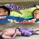 তিন মাস পর ১ সেপ্টেম্বর থেকে সুন্দরবনের দুয়ার খুলছে