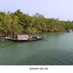 ৭৯ ঘণ্টা পর নওগাঁয় বাস-অটোরিকশা চলাচল শুরু