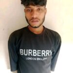 পলাশবাড়ীতে বিএনপির ৪৮তম প্রতিষ্ঠা বার্ষিকী পালিত।