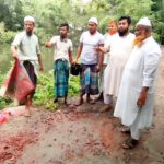দ্বীন প্রতিষ্ঠার আন্দোলনে আমরা কাজ করছি: ছাত্র হিযবুল্লাহ’র কেন্দ্রীয় সভাপতি