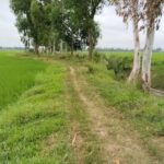 জয়পুরহাট সীমান্তে ভারতীয় ৩ যুবককে পুশ-ইনের চেষ্টা, বিজিবির বাধায় ব্যর্থ বিএসএফ