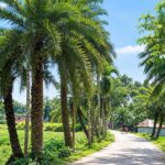 সাতক্ষীরায় কিশোর গ্যাংয়ের ছুরির আঘাতে তরুণ নিহত