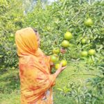 প্রধানমন্ত্রী তারেক রহমানের ঘোষিত ‘রংধনু জাতি’ গঠনের প্রতিচ্ছবি দৃশ্যমান তিন পার্বত্য জেলায়:- ভূমি ও পার্বত্য প্রতিমন্ত্রী মীর হেলাল